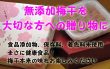 和歌山紀州の梅干を梅農家から心をこめてお送りいたします!和歌山県紀州南高梅の梅干
