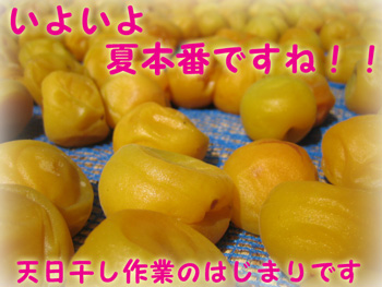 ��������ߤ��߾夲