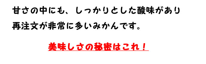 美味しさの秘密