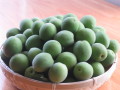 �²λ��������������Ȥ���ľ�����ž��ߡ�����